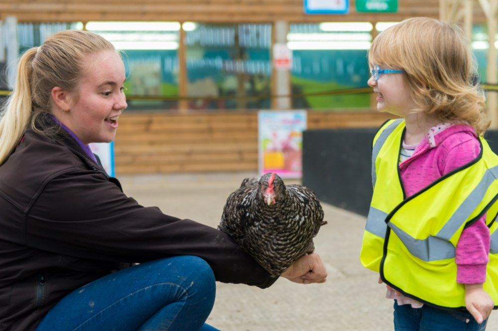 https://foxesbridgefarmdaynursery.co.uk/wp-content/uploads/2022/03/Screenshot-2021-11-24-133155.jpg